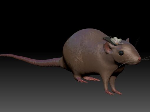 Rat